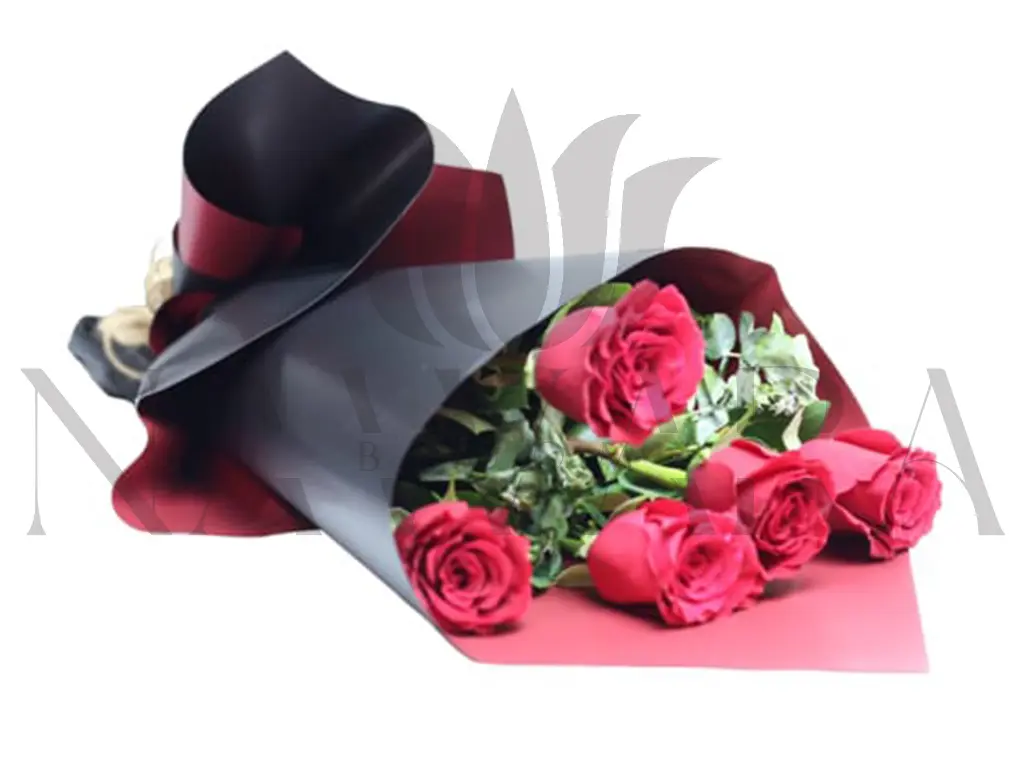 16.webp
