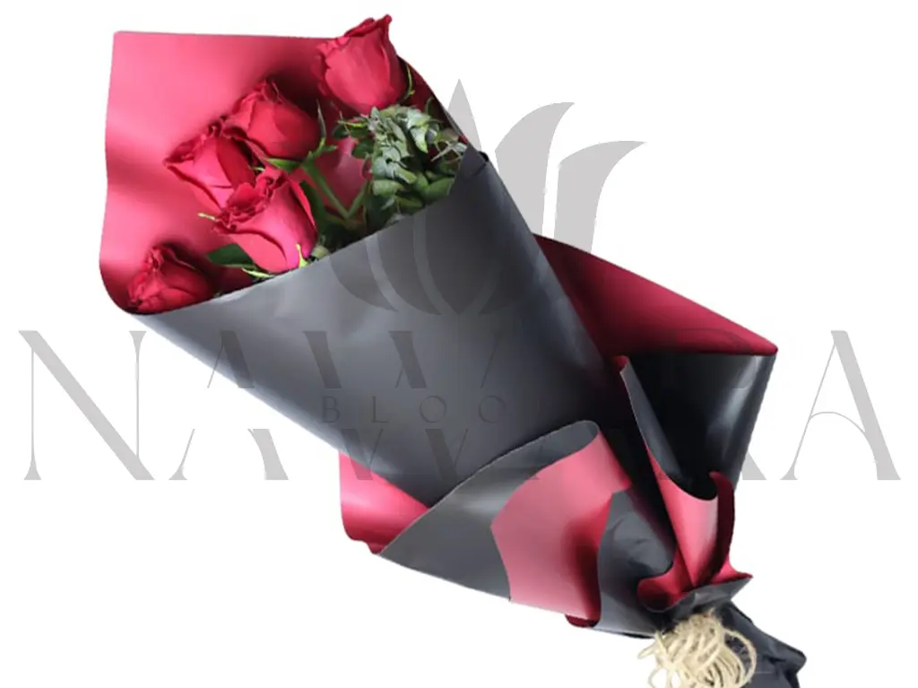 17.webp