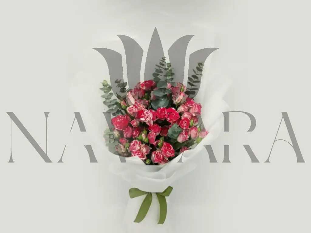 Douceur des Couleurs