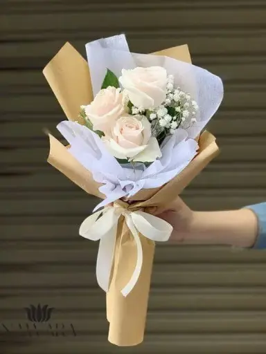 🌺Élégance Champagne🌺 