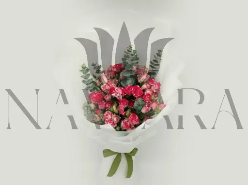 Douceur des Couleurs